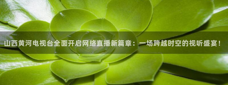 玩球直播免费高清在线：山西黄河电视台全面开启网络直播新篇章：一场跨越时空的视听盛宴！