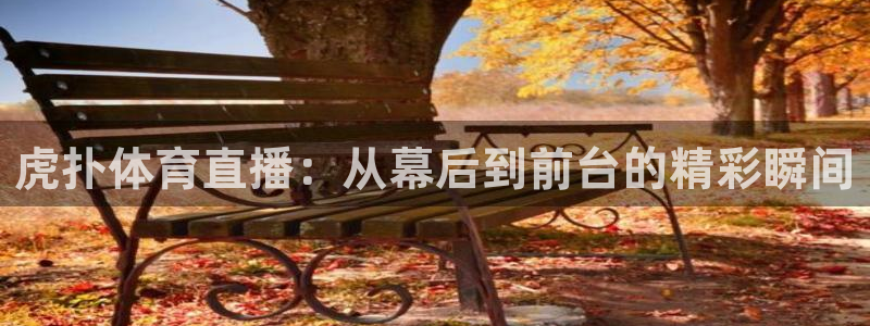 玩球tv直播