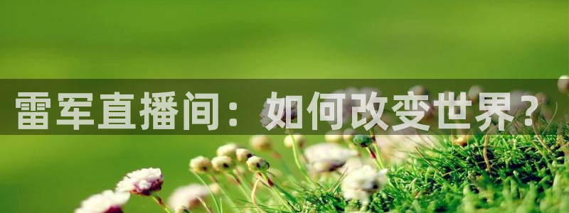 玩球直播在线观看免费观看