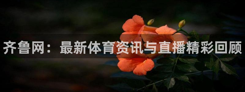 小班体育游戏玩球